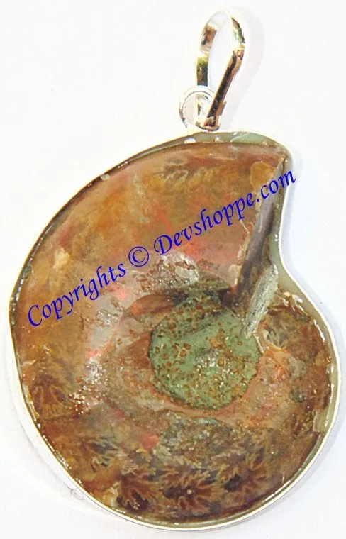 Beautiful Ammonite pendant in white metal